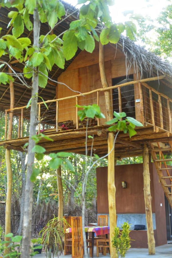 شقة Pidurangala View Treehouse سيغيرِيا المظهر الخارجي الصورة