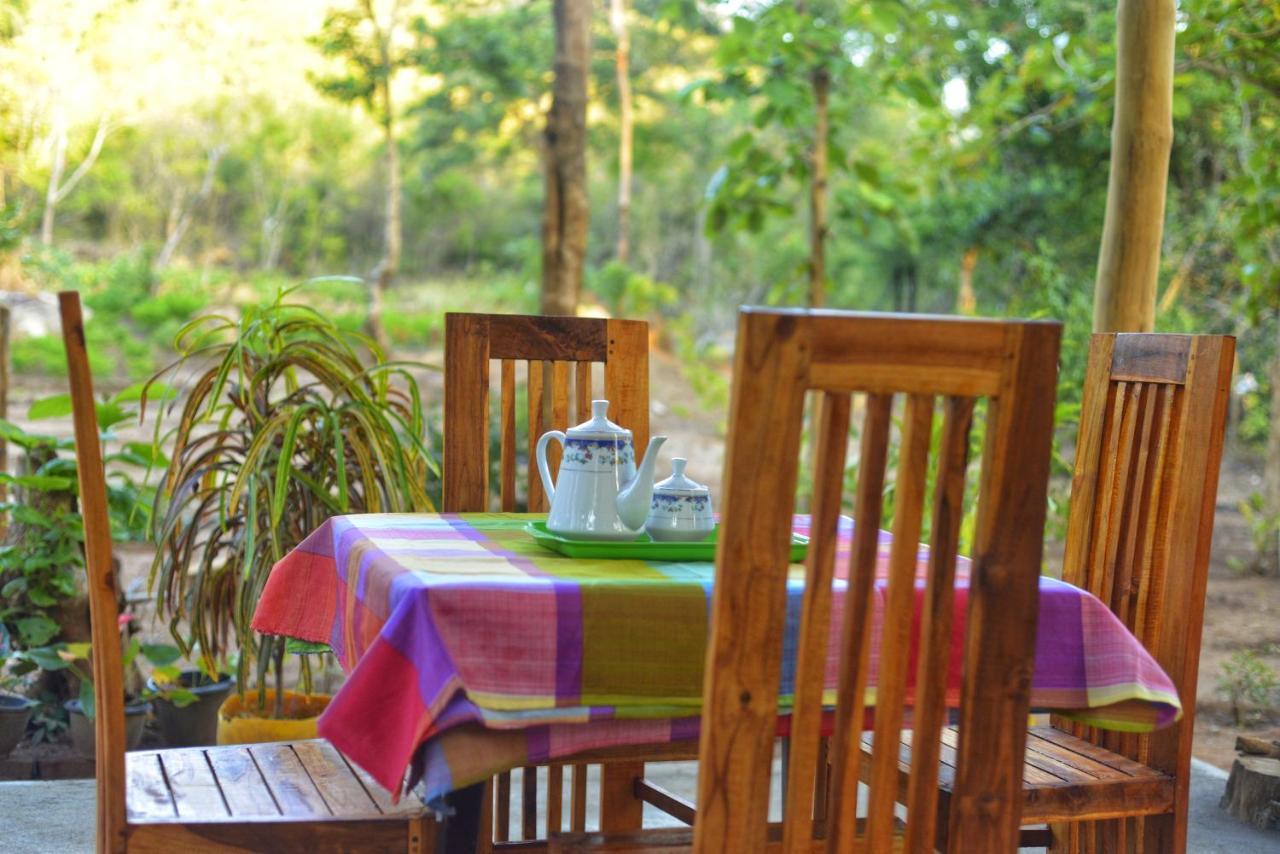 شقة Pidurangala View Treehouse سيغيرِيا المظهر الخارجي الصورة