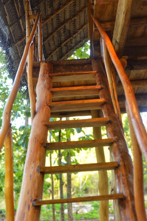شقة Pidurangala View Treehouse سيغيرِيا المظهر الخارجي الصورة