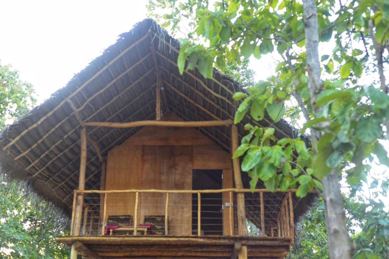 شقة Pidurangala View Treehouse سيغيرِيا المظهر الخارجي الصورة
