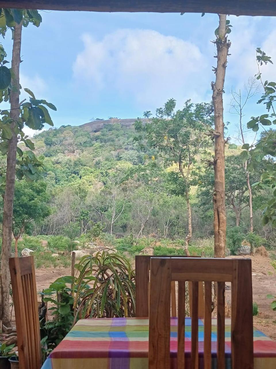 شقة Pidurangala View Treehouse سيغيرِيا المظهر الخارجي الصورة
