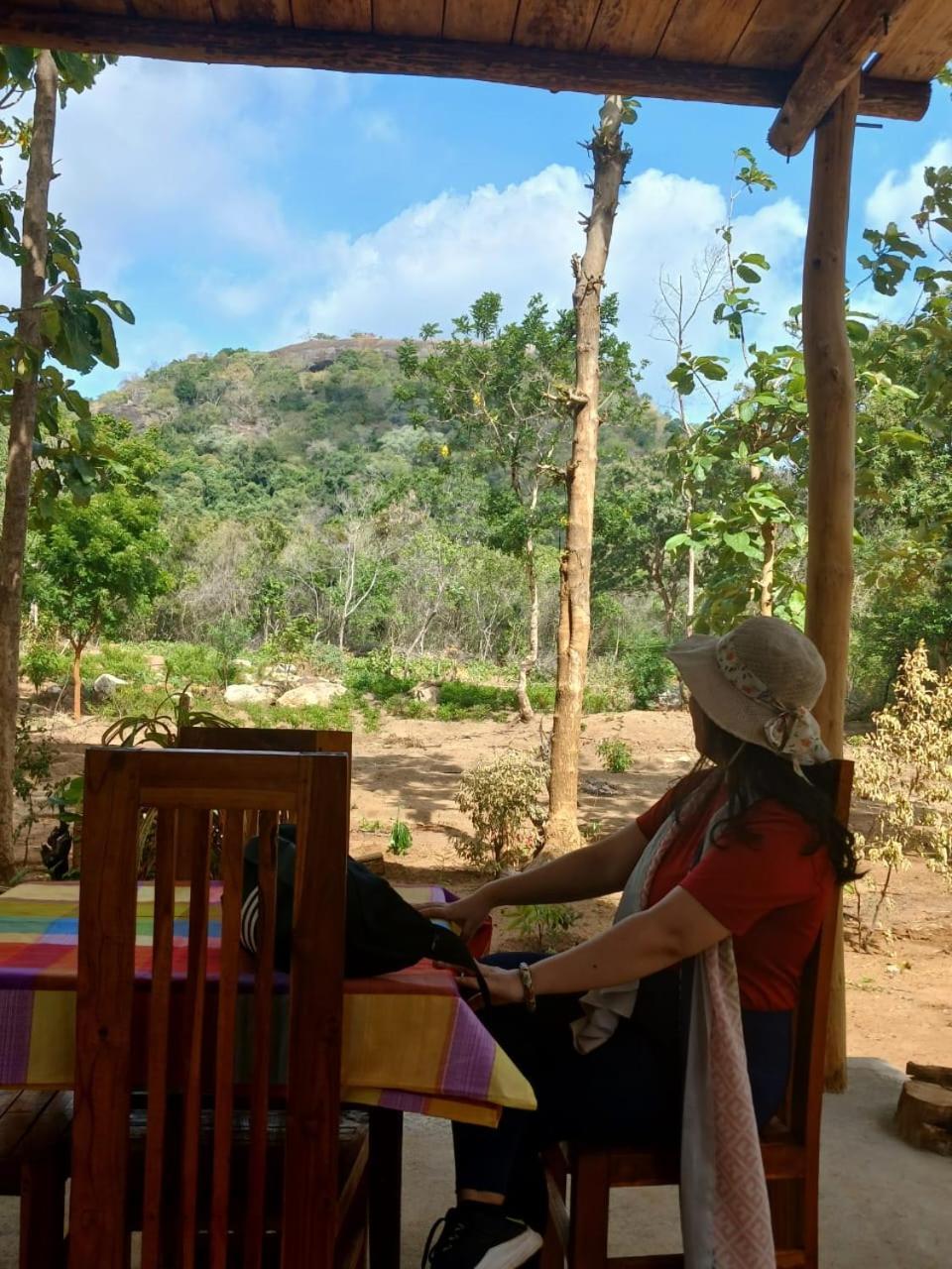 شقة Pidurangala View Treehouse سيغيرِيا المظهر الخارجي الصورة