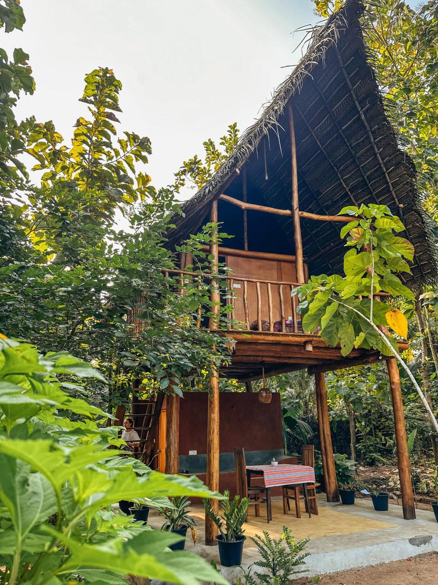شقة Pidurangala View Treehouse سيغيرِيا المظهر الخارجي الصورة