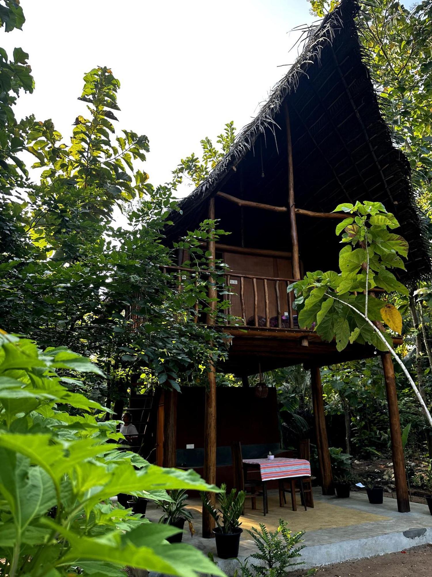 شقة Pidurangala View Treehouse سيغيرِيا المظهر الخارجي الصورة