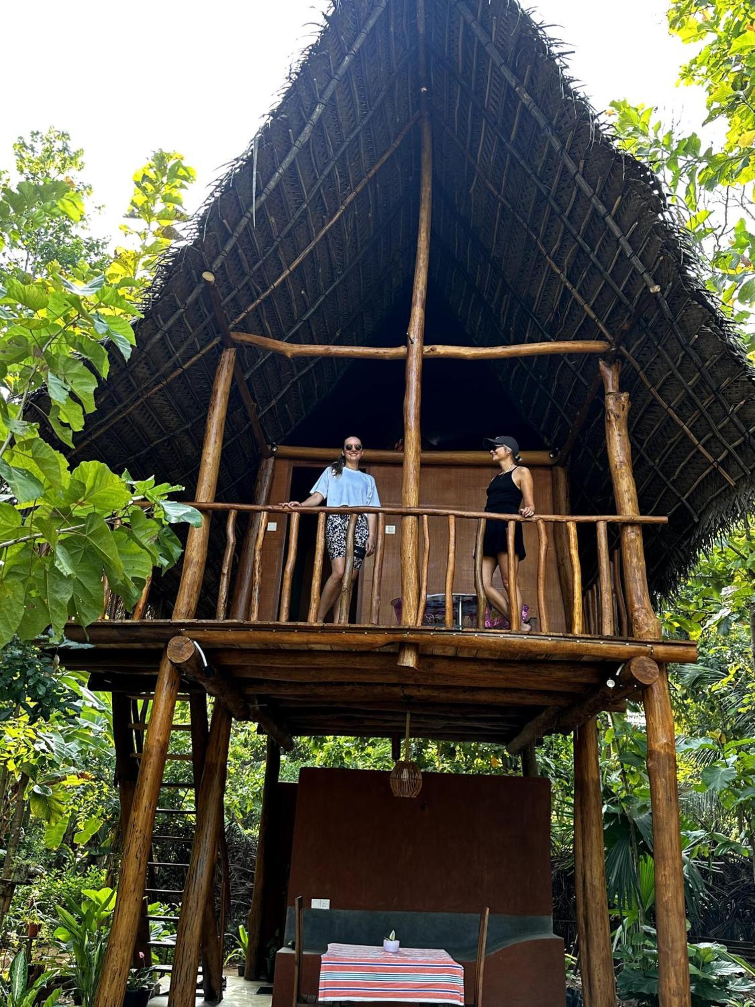 شقة Pidurangala View Treehouse سيغيرِيا المظهر الخارجي الصورة