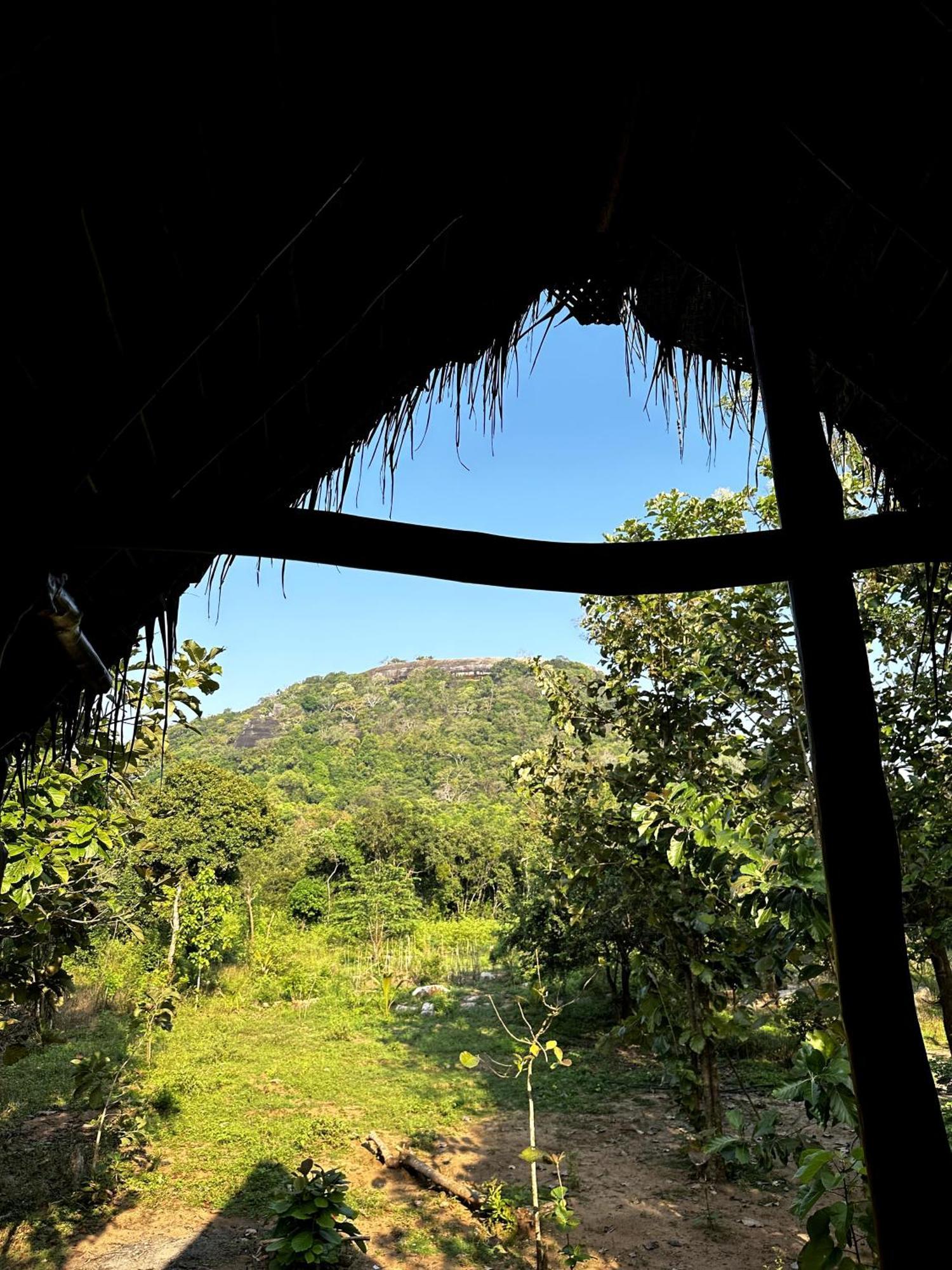 شقة Pidurangala View Treehouse سيغيرِيا المظهر الخارجي الصورة