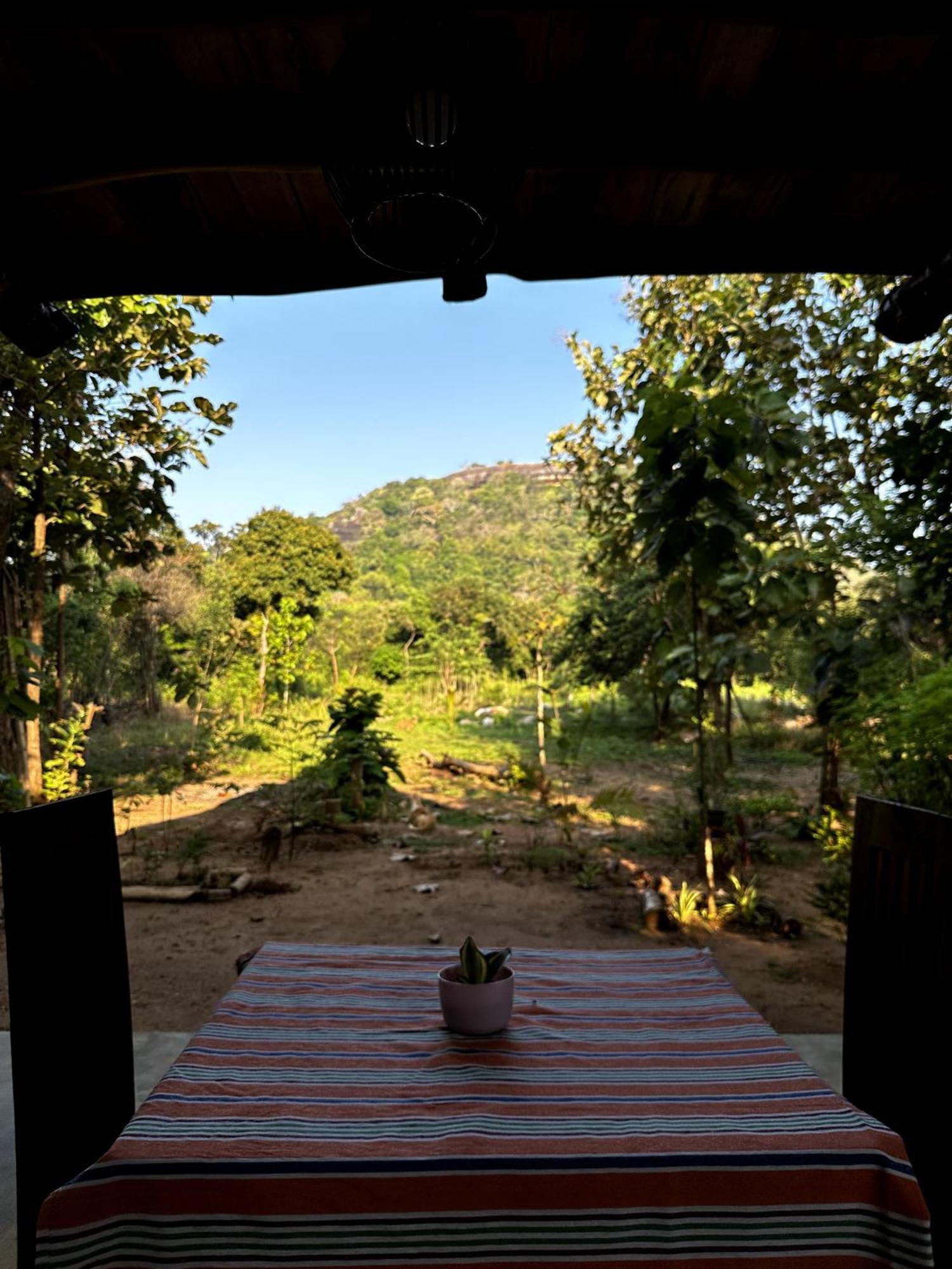شقة Pidurangala View Treehouse سيغيرِيا المظهر الخارجي الصورة