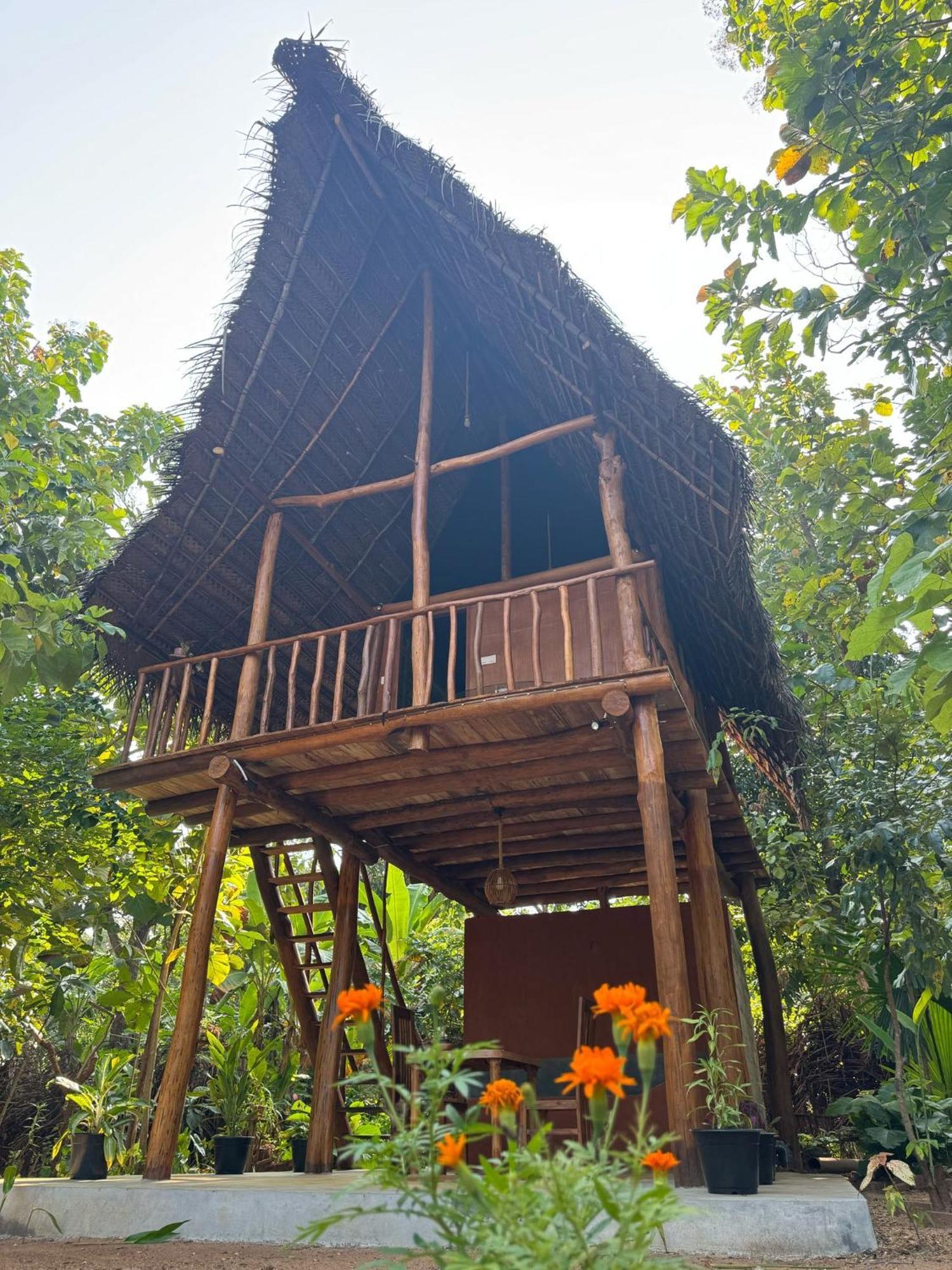 شقة Pidurangala View Treehouse سيغيرِيا المظهر الخارجي الصورة