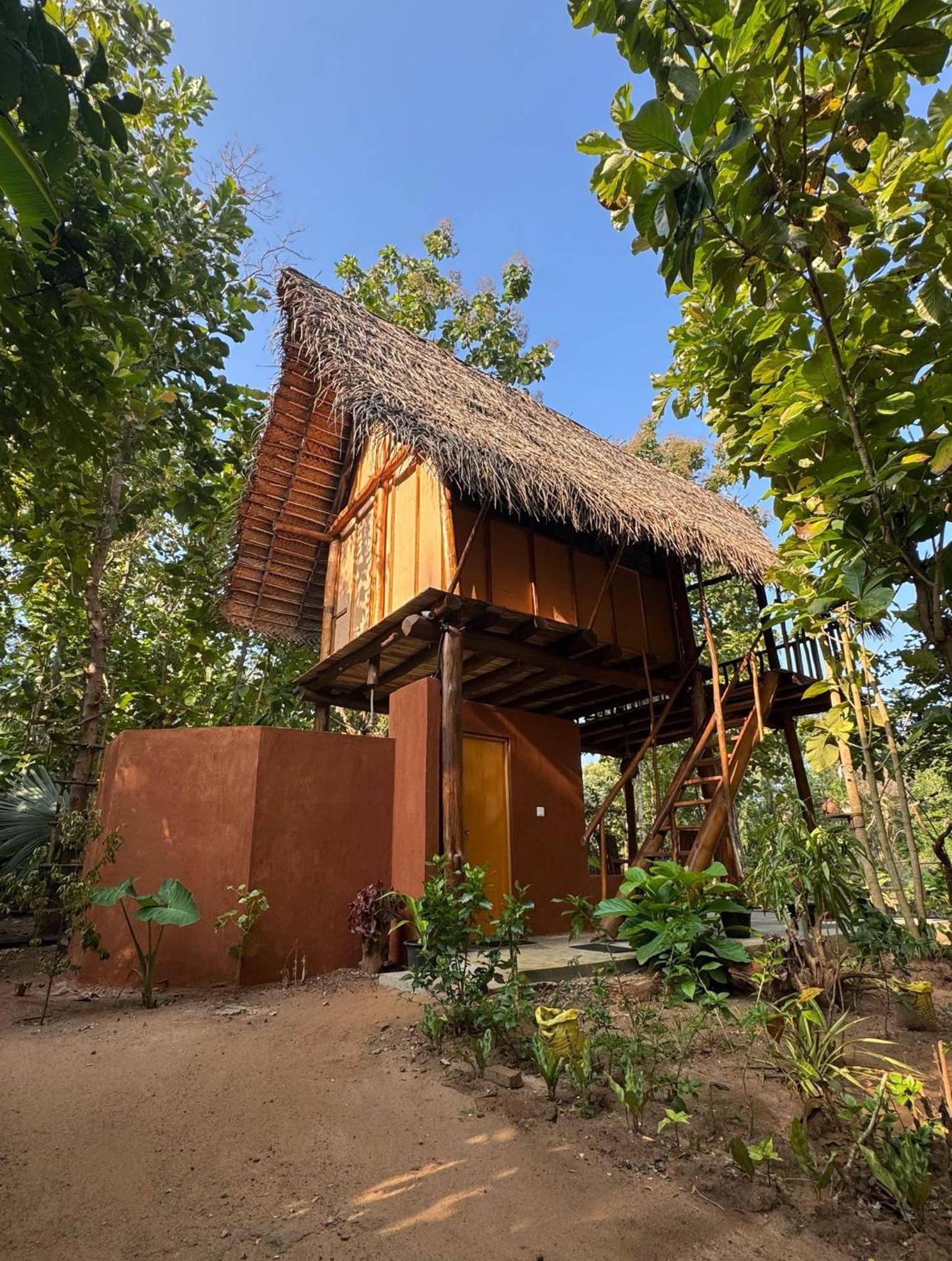 شقة Pidurangala View Treehouse سيغيرِيا المظهر الخارجي الصورة