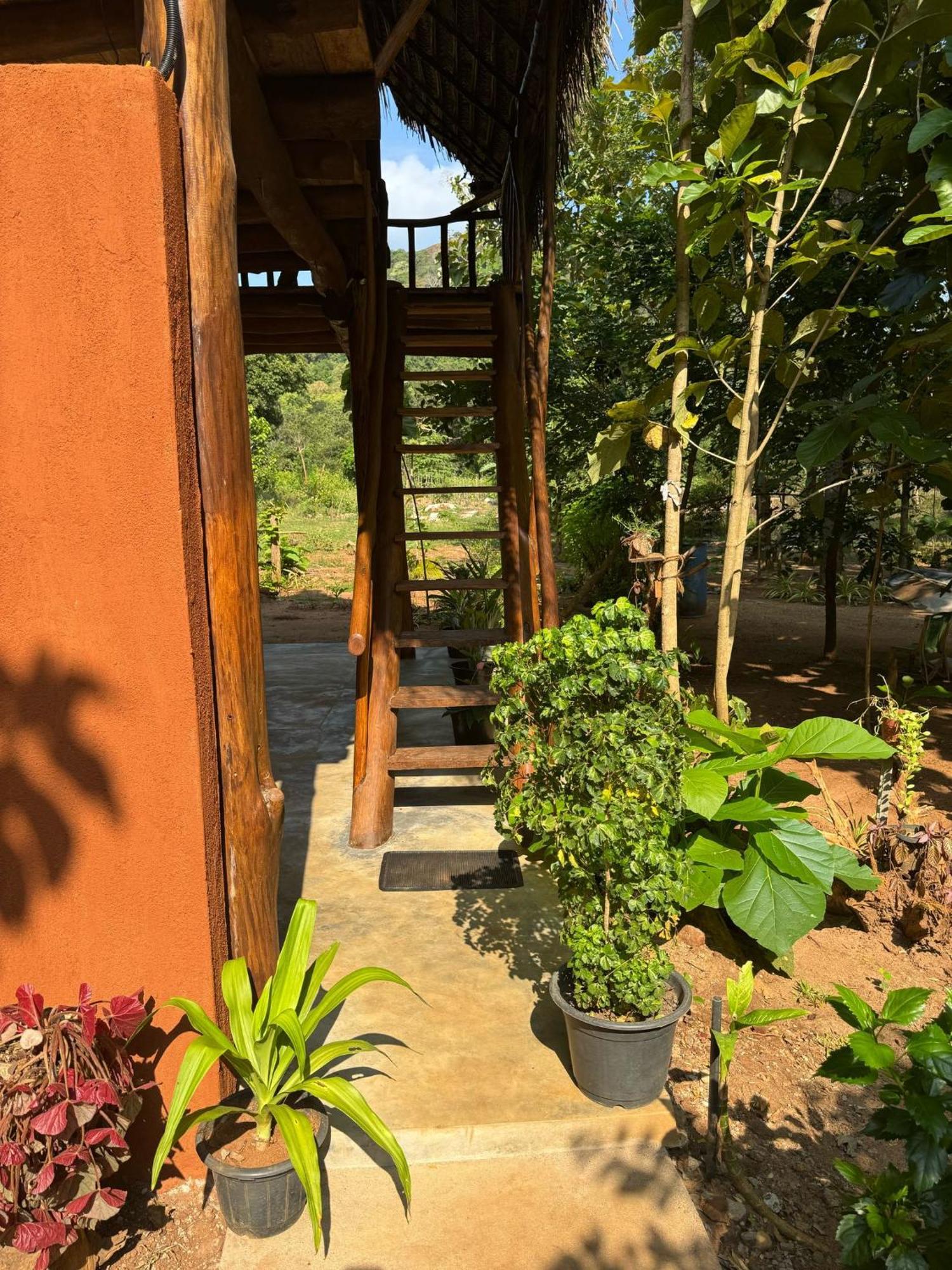 شقة Pidurangala View Treehouse سيغيرِيا المظهر الخارجي الصورة